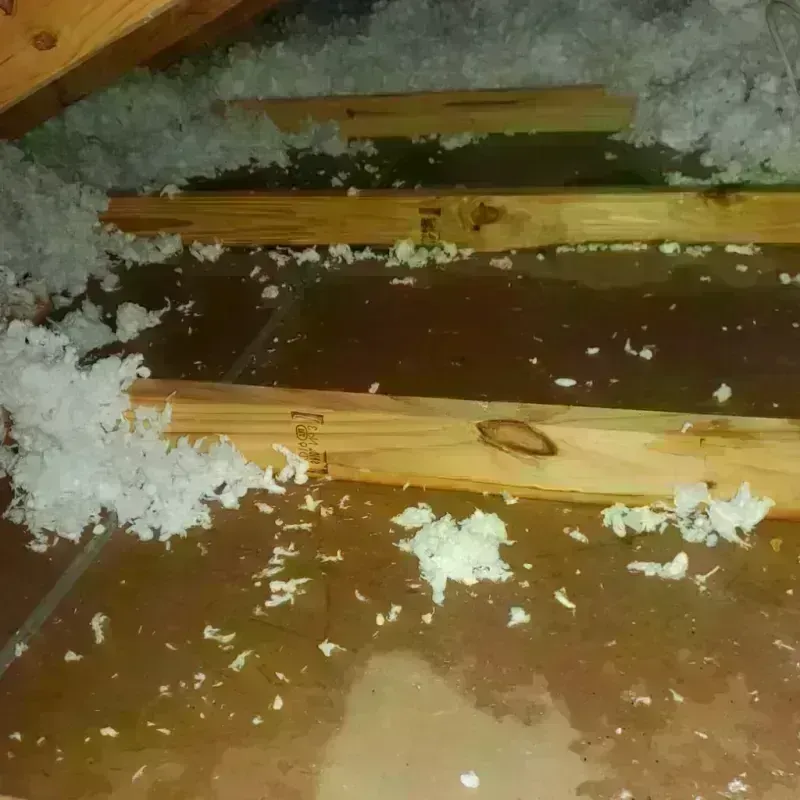 Attic Water Damage in Lake Clarke Shores, FL